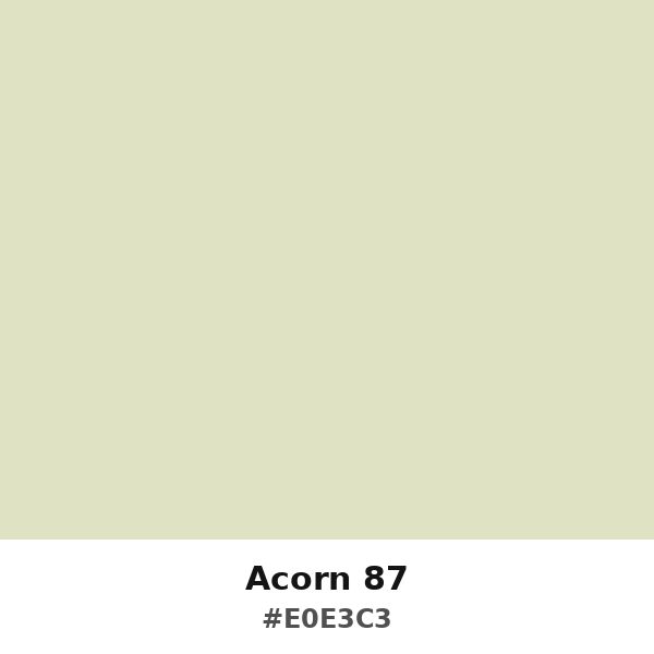 Acorn 87