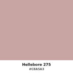 Hellebore 275