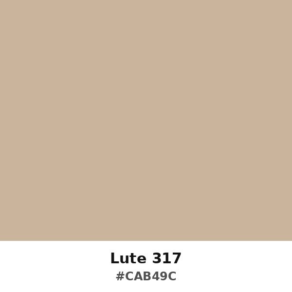 Lute 317