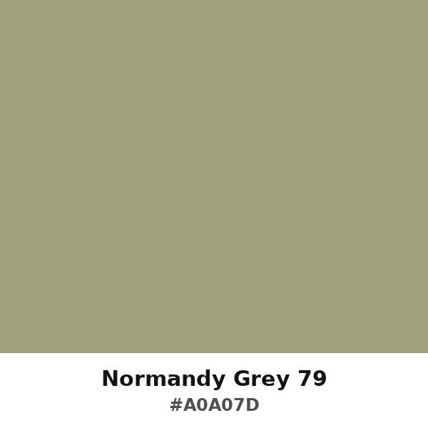 Normandy Grey 79