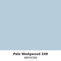 Pale Wedgwood 249