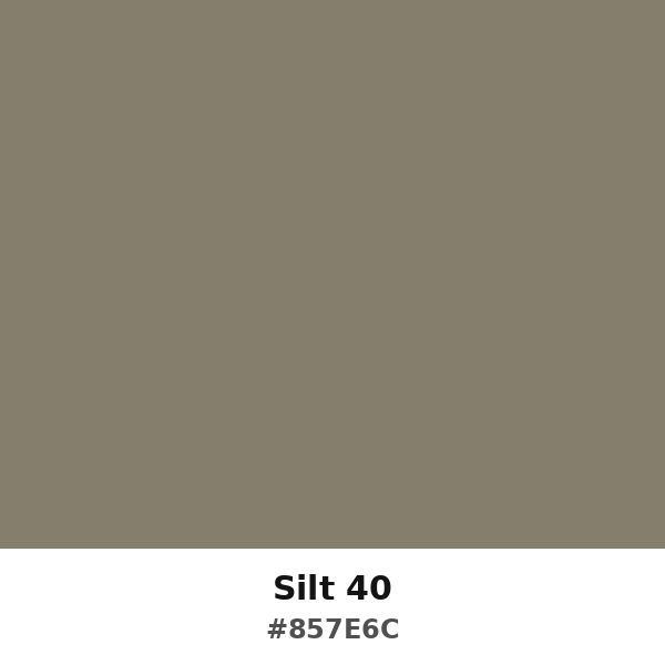 Silt 40