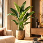 Strelitzia-plant 180 cm