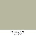 Tracery II 78